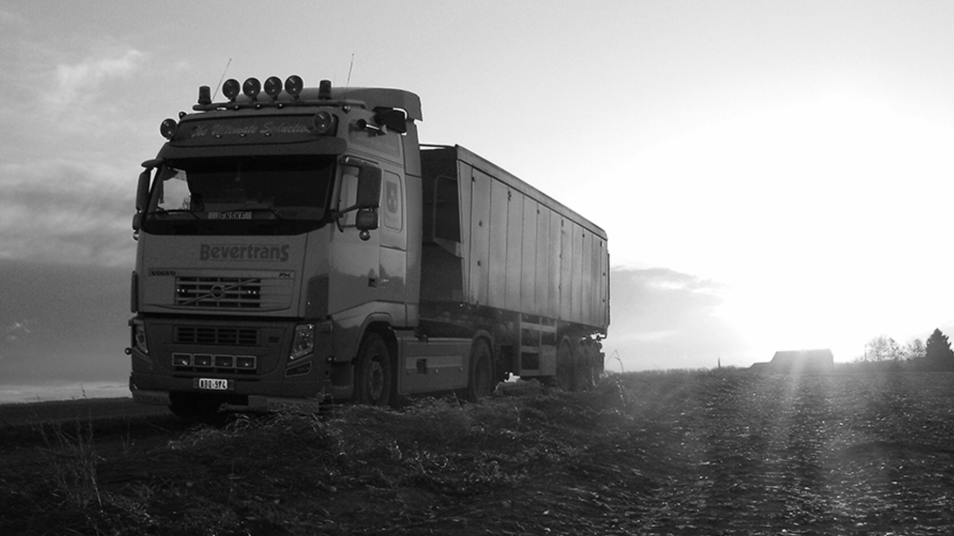 Bevertrans trucks